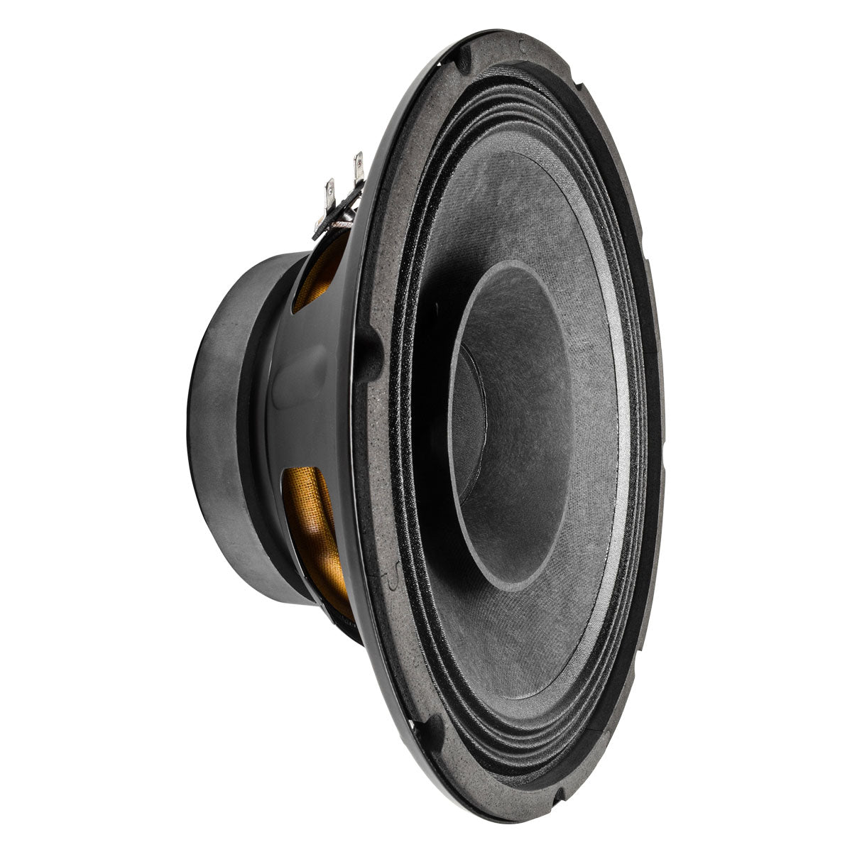 PRV Audio 10FR300 10-Inch Full-Range Loudspeaker 8 Ohm
