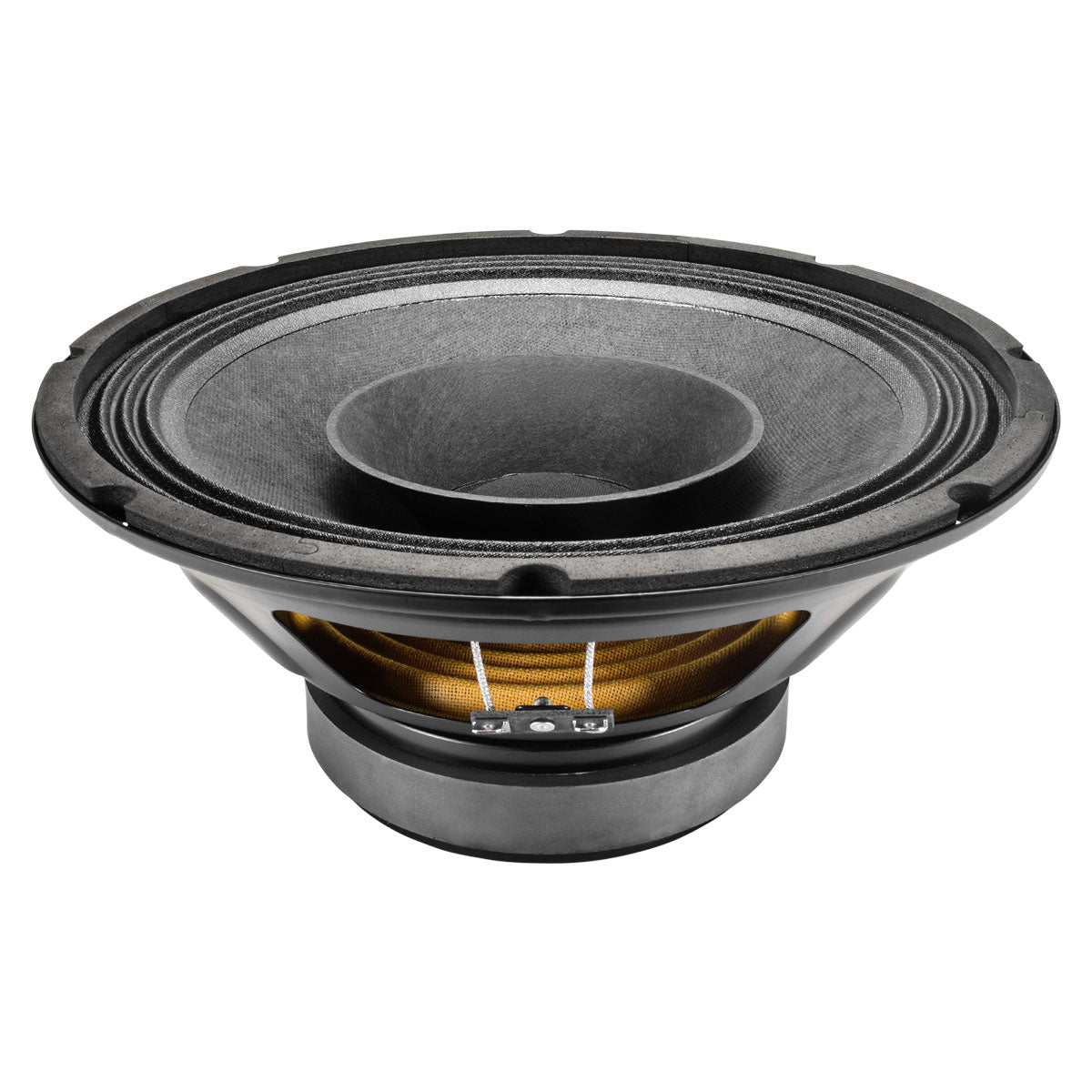 PRV 10FR300 Fullrange PRV Audio