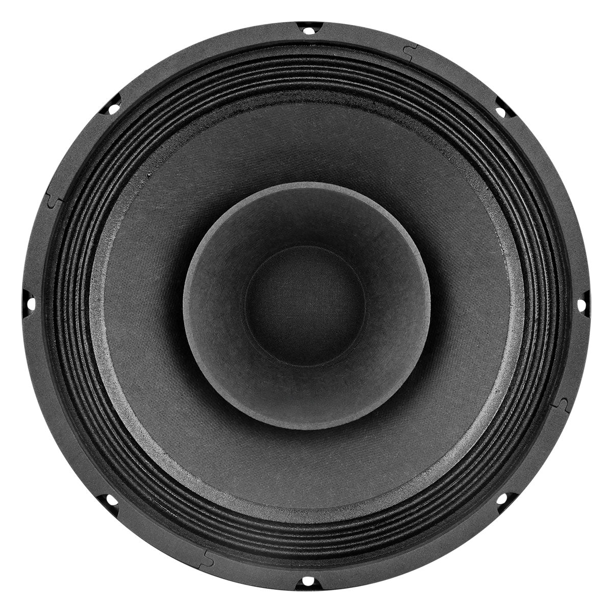 PRV 10FR300 Fullrange PRV Audio