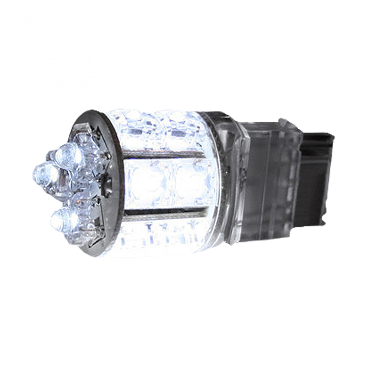 3156 360 Degree 13 LED Bulb in White