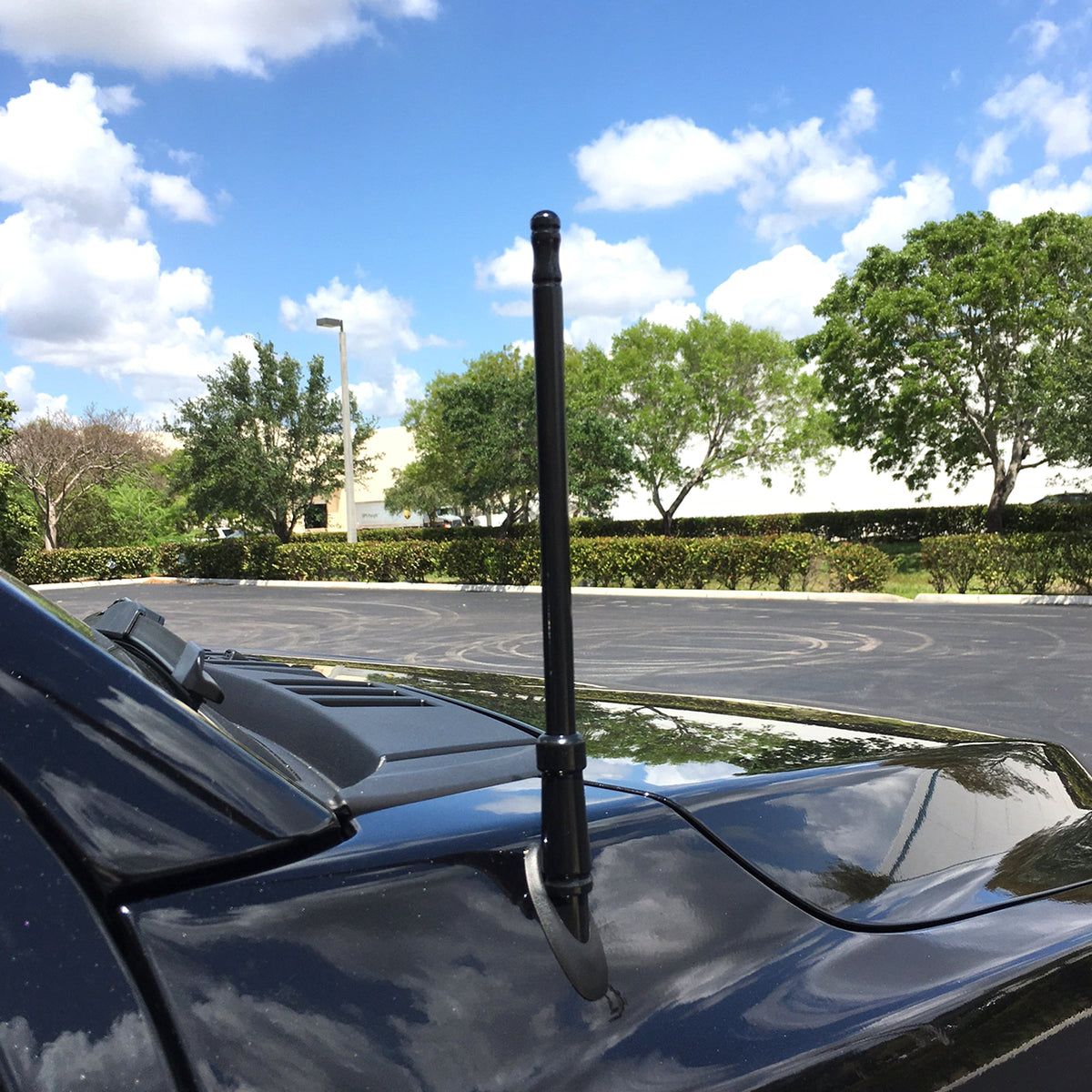 Aluminum 8" Antenna Mast (Fits OEM Factory Threaded Antenna) Multiple Colors