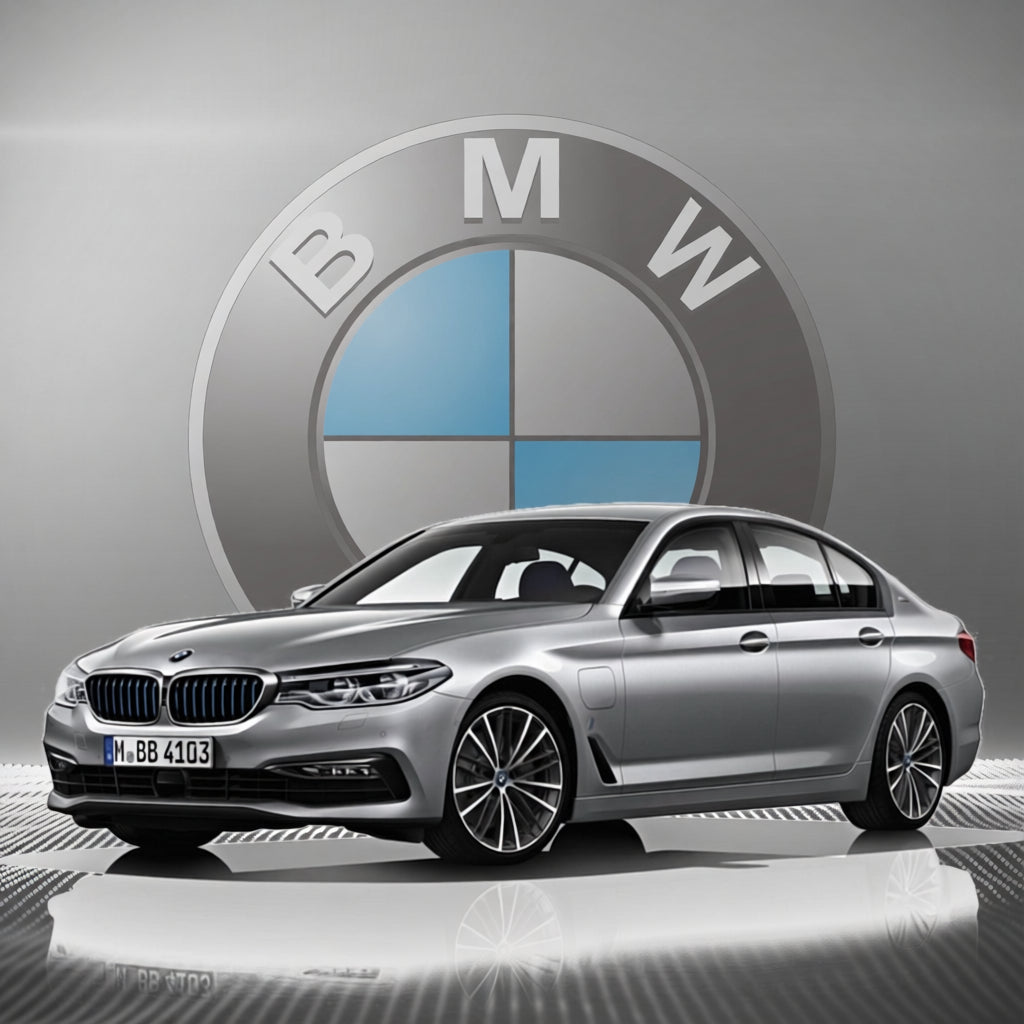 12Volt.Solutions BMW 5-Series Plug and Play Remote Start Kit