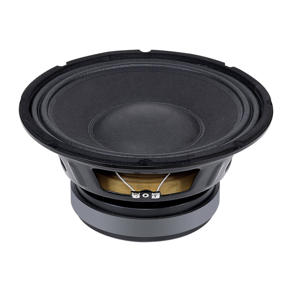 8” Dynamic Loudspeaker (APSP-1050) Audiopipe