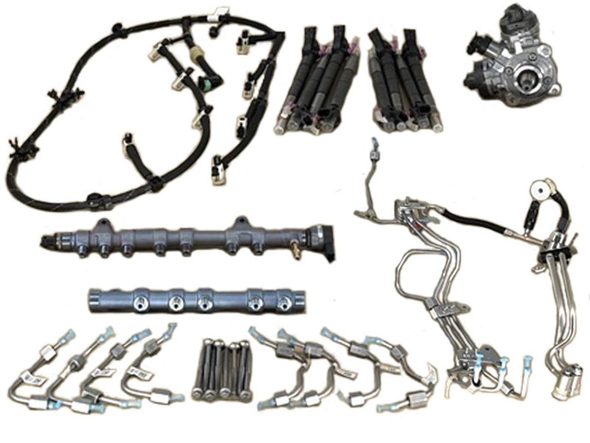LC3Z9B246B OE CP4 Fuel Contamination Rebuild Kit, 2020-2022 Ford 6.7L Powerstroke Ford OEM