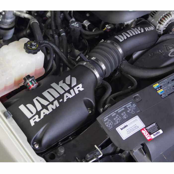 Ram-Air Cold-Air Intake System, Dry Filter for use with 99-2008 Chevy/GMC, 1500 with Electric Fan