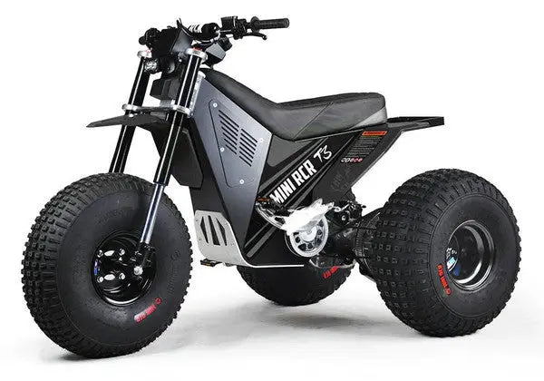 Mini RCR T3 Electric 3 Wheel E-Bike Base Model