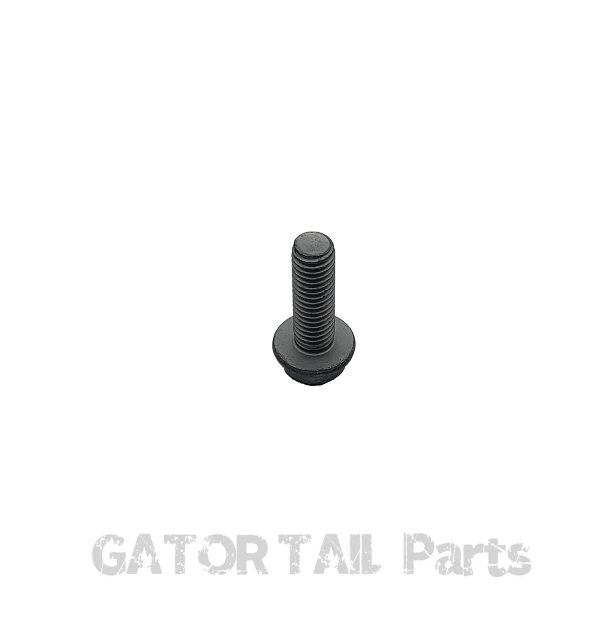 Muffler Bolt Briggs