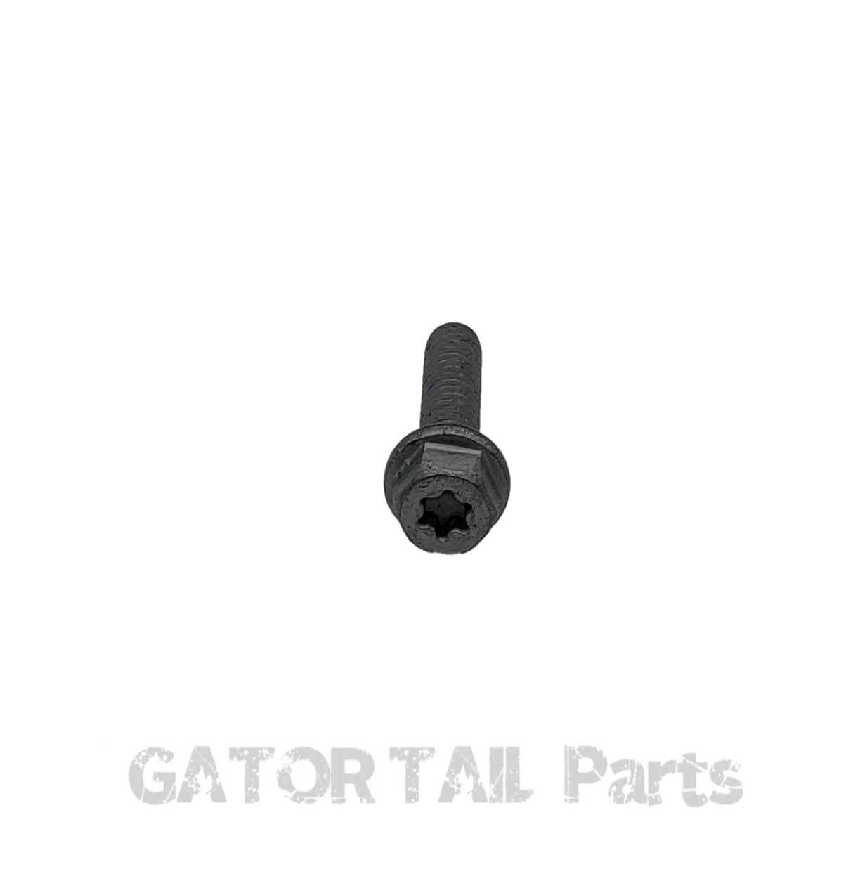 Muffler Bolt Briggs