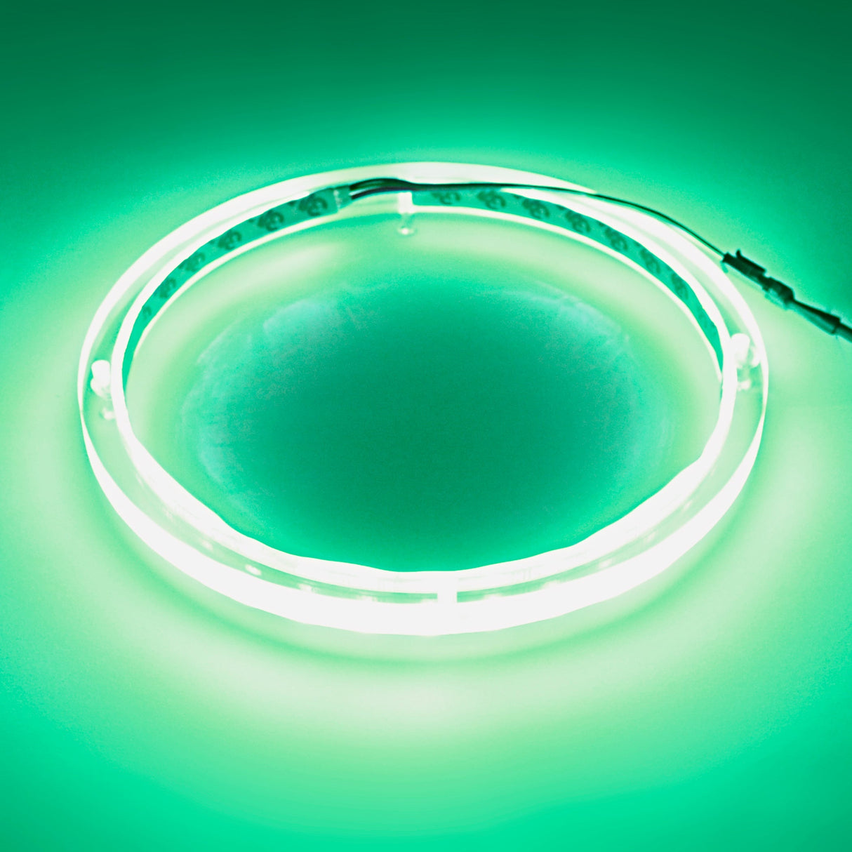 12" RGB LED Speaker Rings (NL-RIAPMP-12RGB) Audiopipe