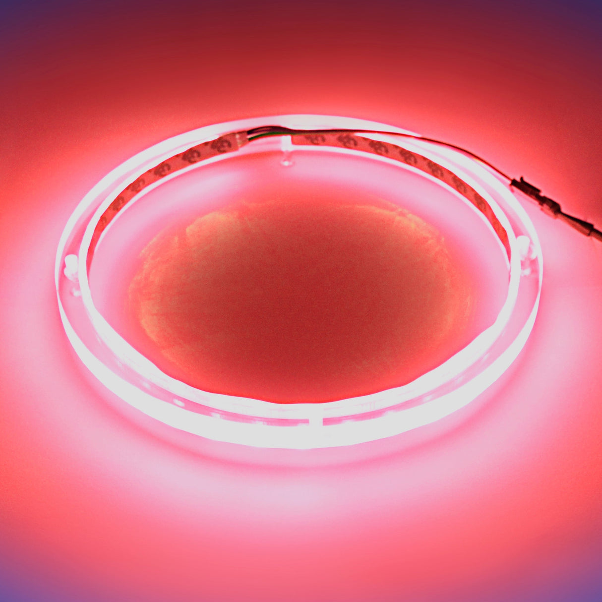 10" RGB LED Speaker Rings (NL-RIAPMP-10RGB) Audiopipe