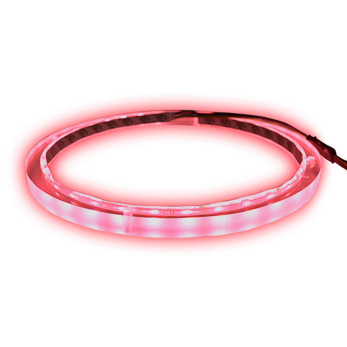 10" RGB LED Speaker Rings (NL-RIAPMP-10RGB) Audiopipe