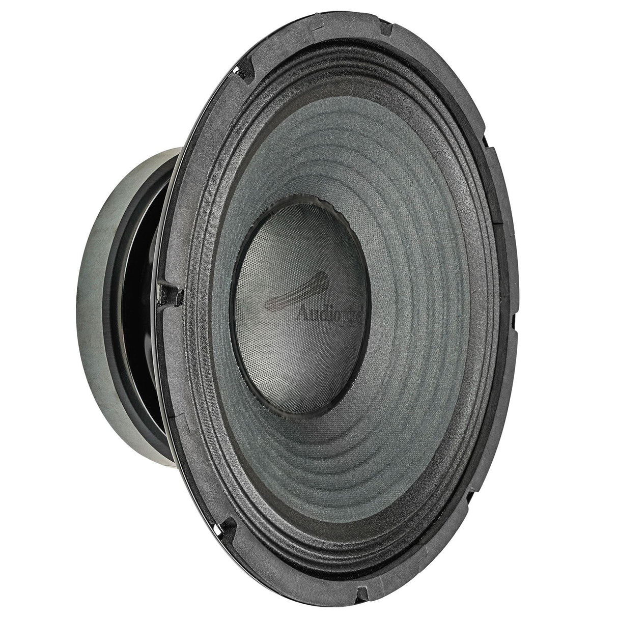 12" Professional Public Address Woofer (NWA-1283) Audiopipe