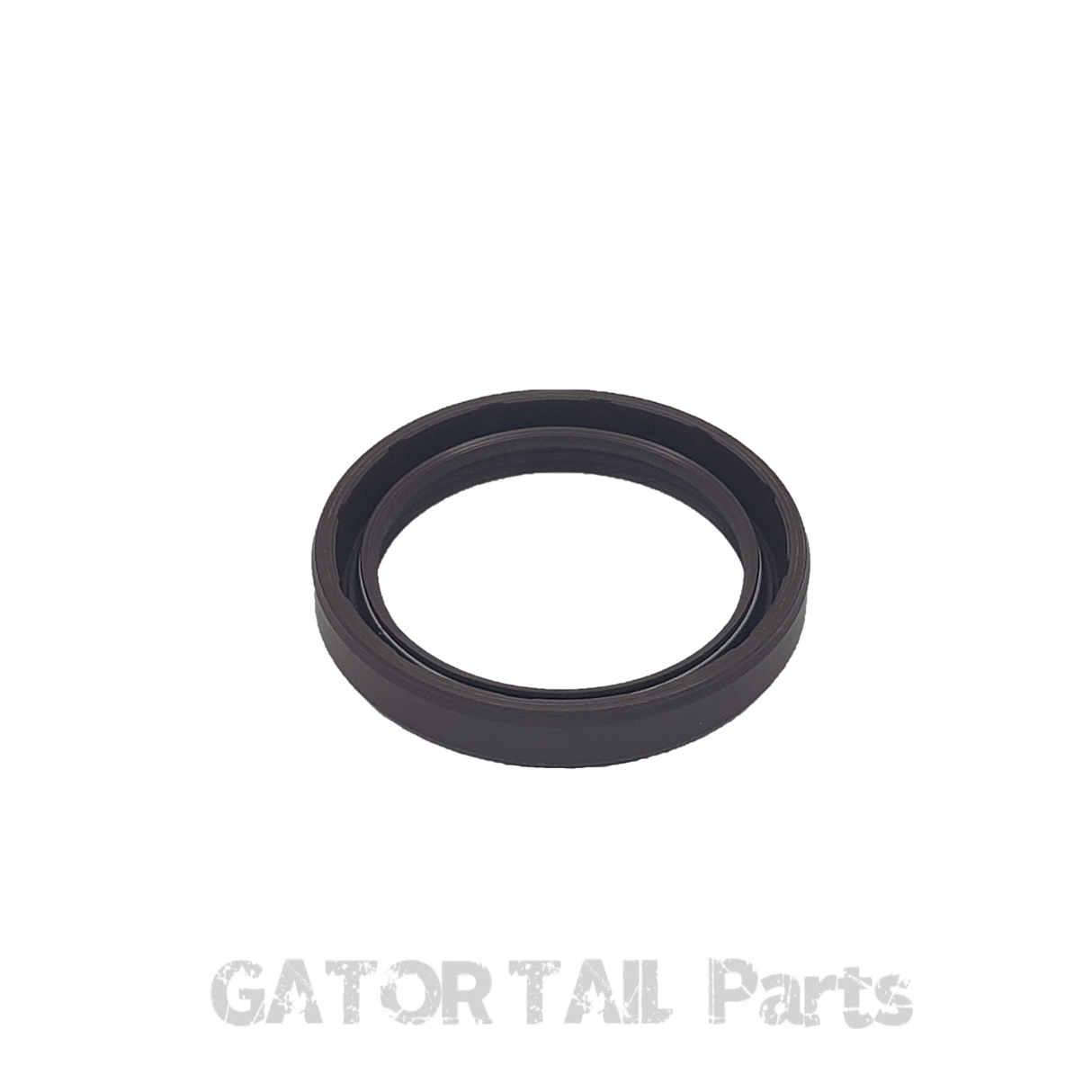 Engine Oil Seal Briggs