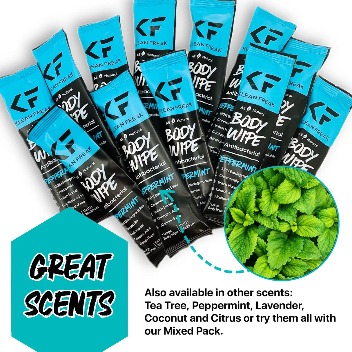 Body Wipes - 12 Pack Klean Freak