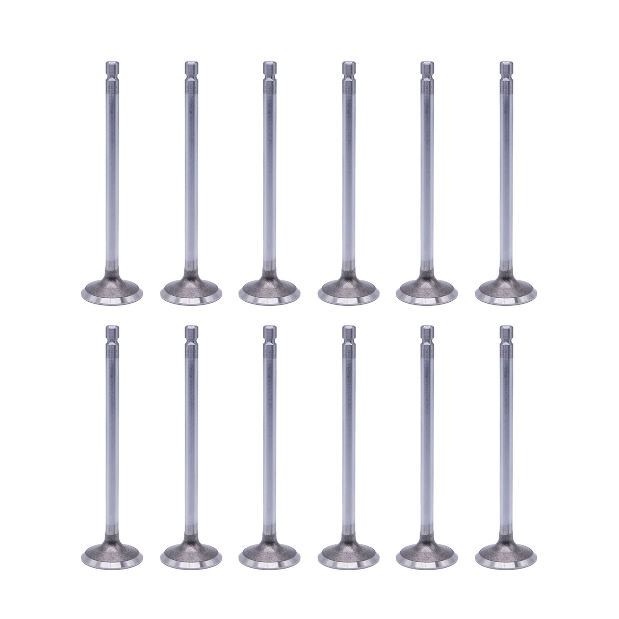 2002-2022 Cummins SBI Exhaust Valve Set of 12 (13006)