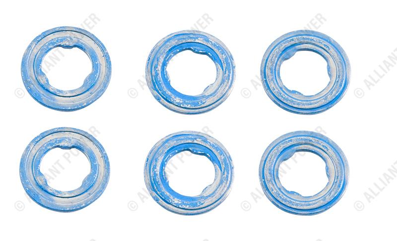 AP0006 Stainless Steel Chamber Gaskets