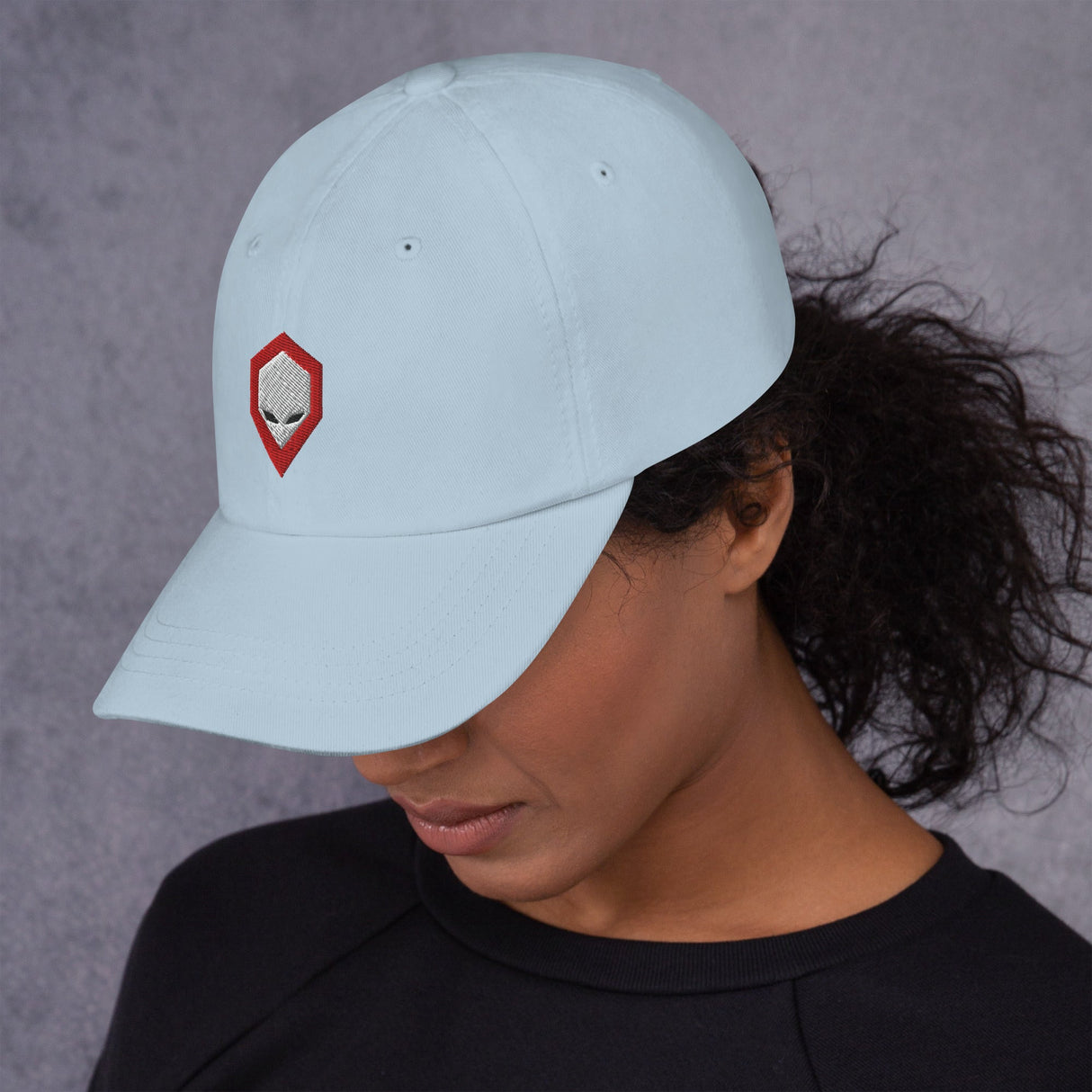 Brainiac Dad hat Workshop 12