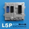 L5P Custom Tuning L5P Tuning and selections are currently Available Far From Stock