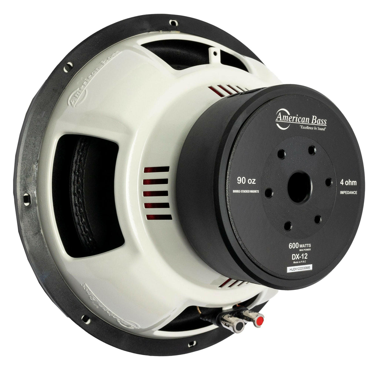 Power Pack: 2 DX 12 Subwoofers + VFL Hybrid 2800.1 Amplifier