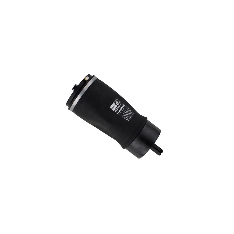 Bilstein 17-20 Land Rover Discovery B3 OE Replacement Air Suspension Spring - Rear Bilstein
