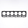 Photo - Primary
