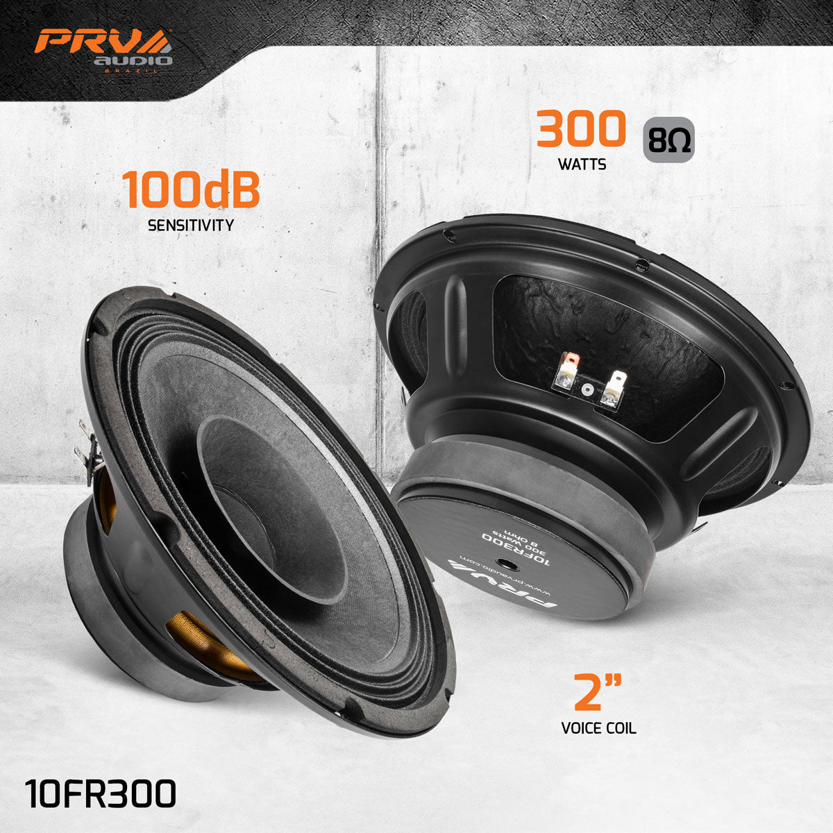 PRV Audio 10FR300 10-Inch Full-Range Loudspeaker 8 Ohm