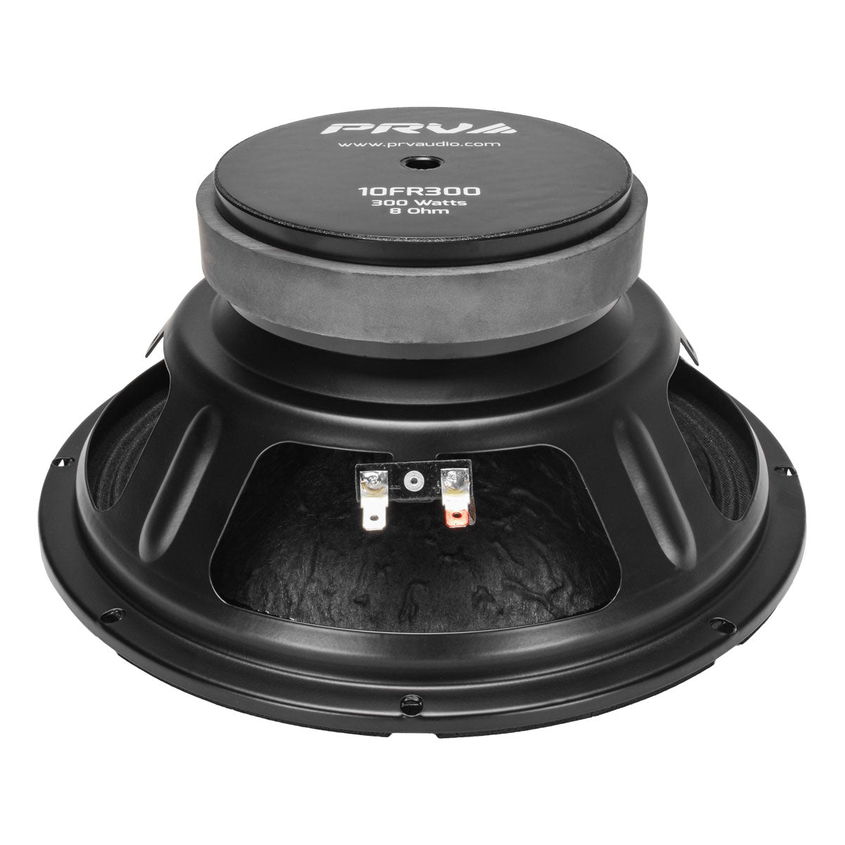 PRV 10FR300 Fullrange PRV Audio