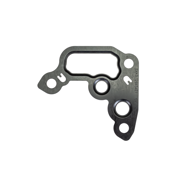 LE2 Vacuum Pump Gasket