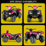 Electric 4-Wheeler Quad for Kids with 12V Battery and Dual 30W Motors