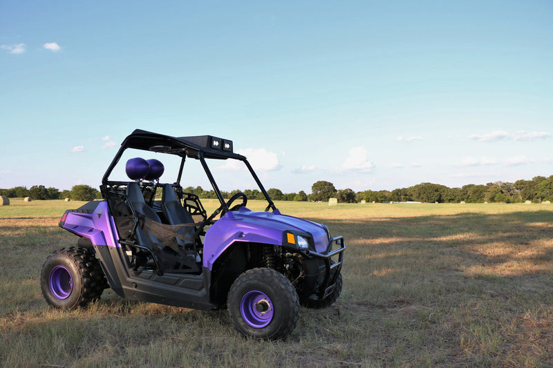 2009+ Polaris RZR 170 Stereo Tops (2-Seat)