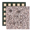 Antenna Coupler 2 IC Chip - iPhone 11| iPhone 11 Pro| iPhone 11 Pro Max Mobile Sentrix