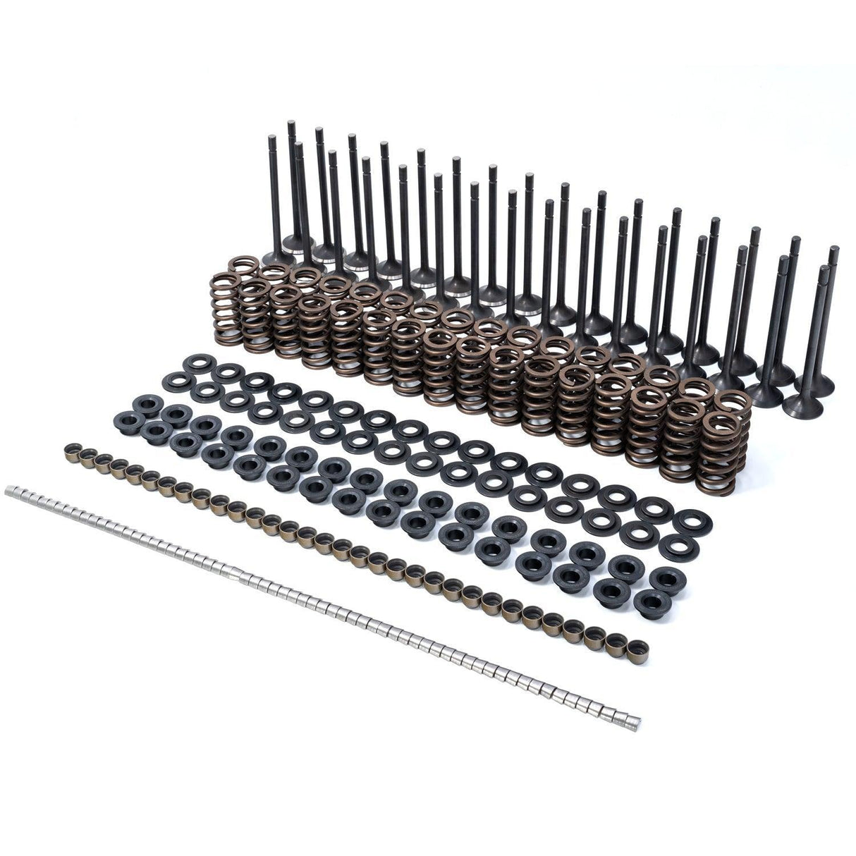 2001-2016 Duramax PPE Valve & Spring Kit (110090080)