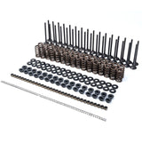 2001-2016 Duramax PPE Valve & Spring Kit (110090080)