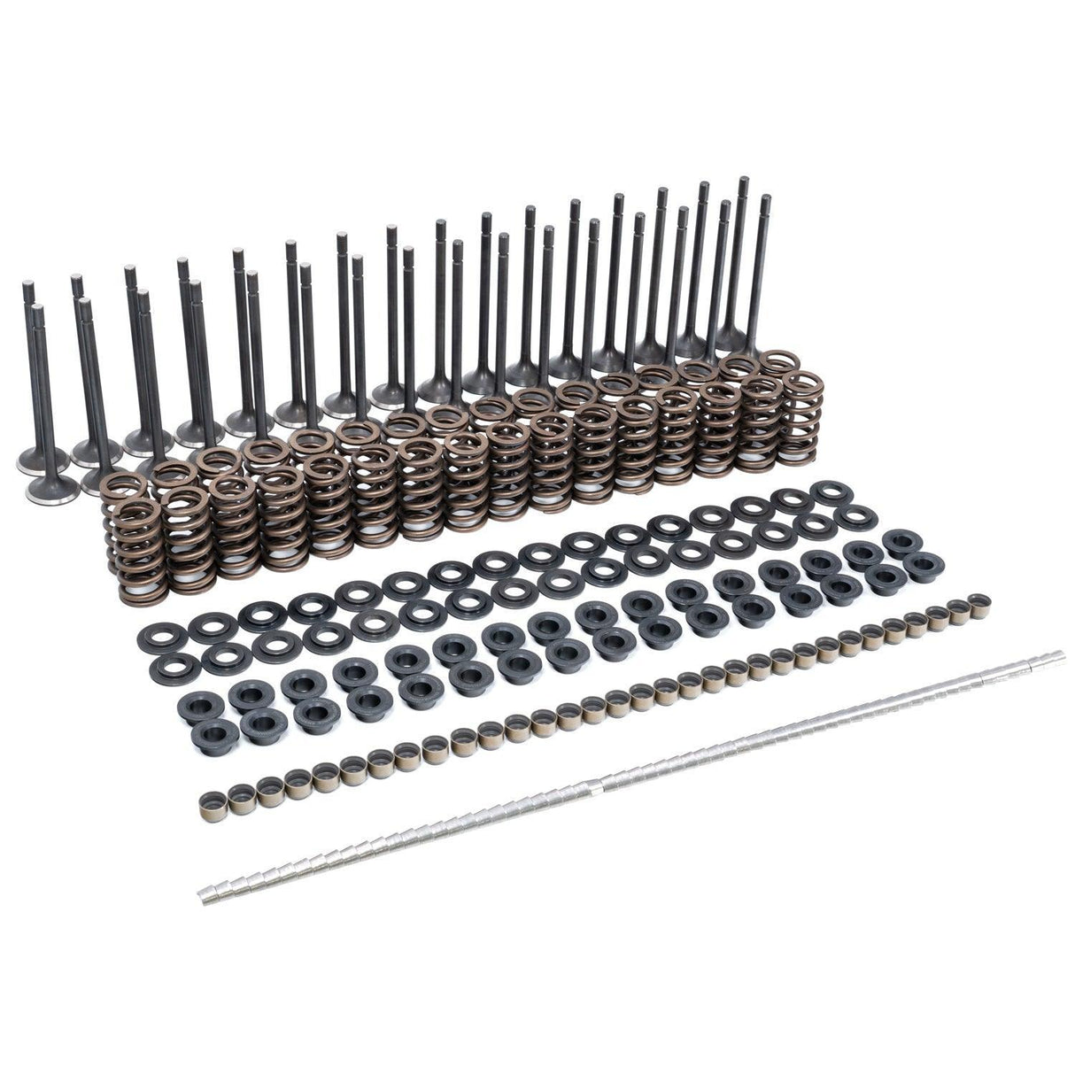 2001-2016 Duramax PPE Valve & Spring Kit (110090080)