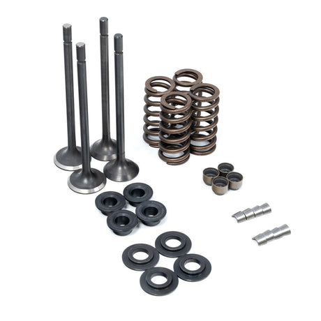 2001-2016 Duramax PPE Valve & Spring Kit (110090080)
