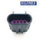 O2 SENSOR DELETE OXYGEN SENSOR OVAL TYPE POLARIS RZR 1000 Gilomen Innovations