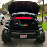 ‘10-18 Ram Radiator Cover 4th Gen Diesel Far From Stock
