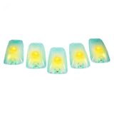 GMC & Chevy 88-02 Amber LED Cab Roof Light 5-Piece Set with Super White Lens