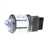 3156 360 Degree 13 LED Bulb in White