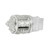 3156 360 Degree 13 LED Bulb in Amber