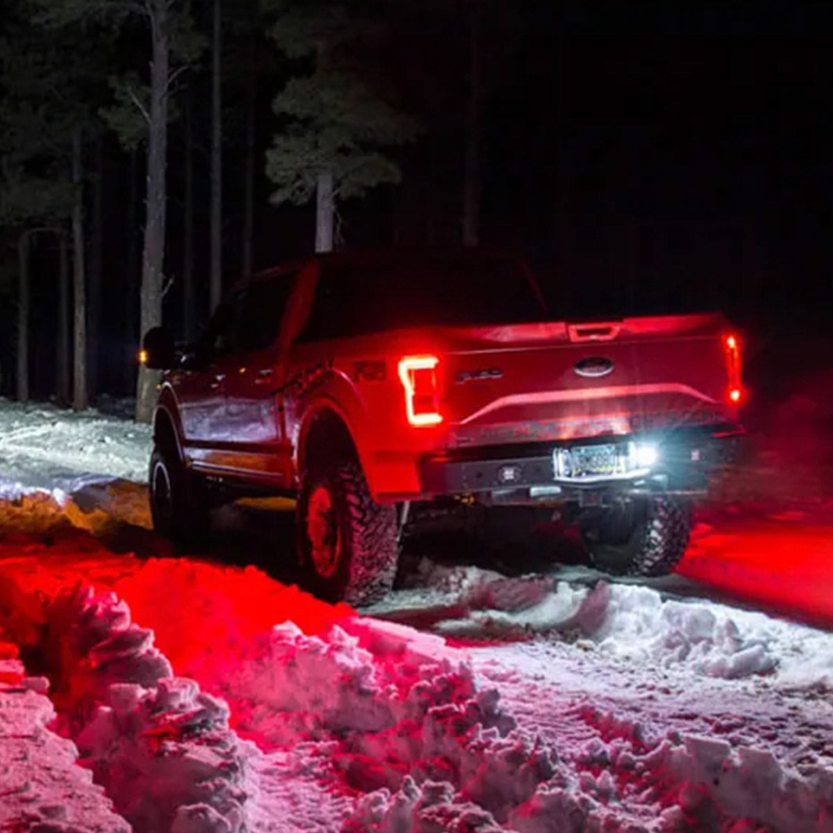 Ford F150 15-20 License Plate Illumination Kit Ultra Bright White LED