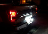 Ford F150 15-20 License Plate Illumination Kit Ultra Bright White LED