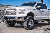 Hidden Winch Mount Ford F-150 2WD/4WD (2015-2020) Rough Country