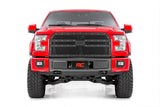 Mesh Grille Ford F-150 2WD/4WD (2015-2017) Rough Country