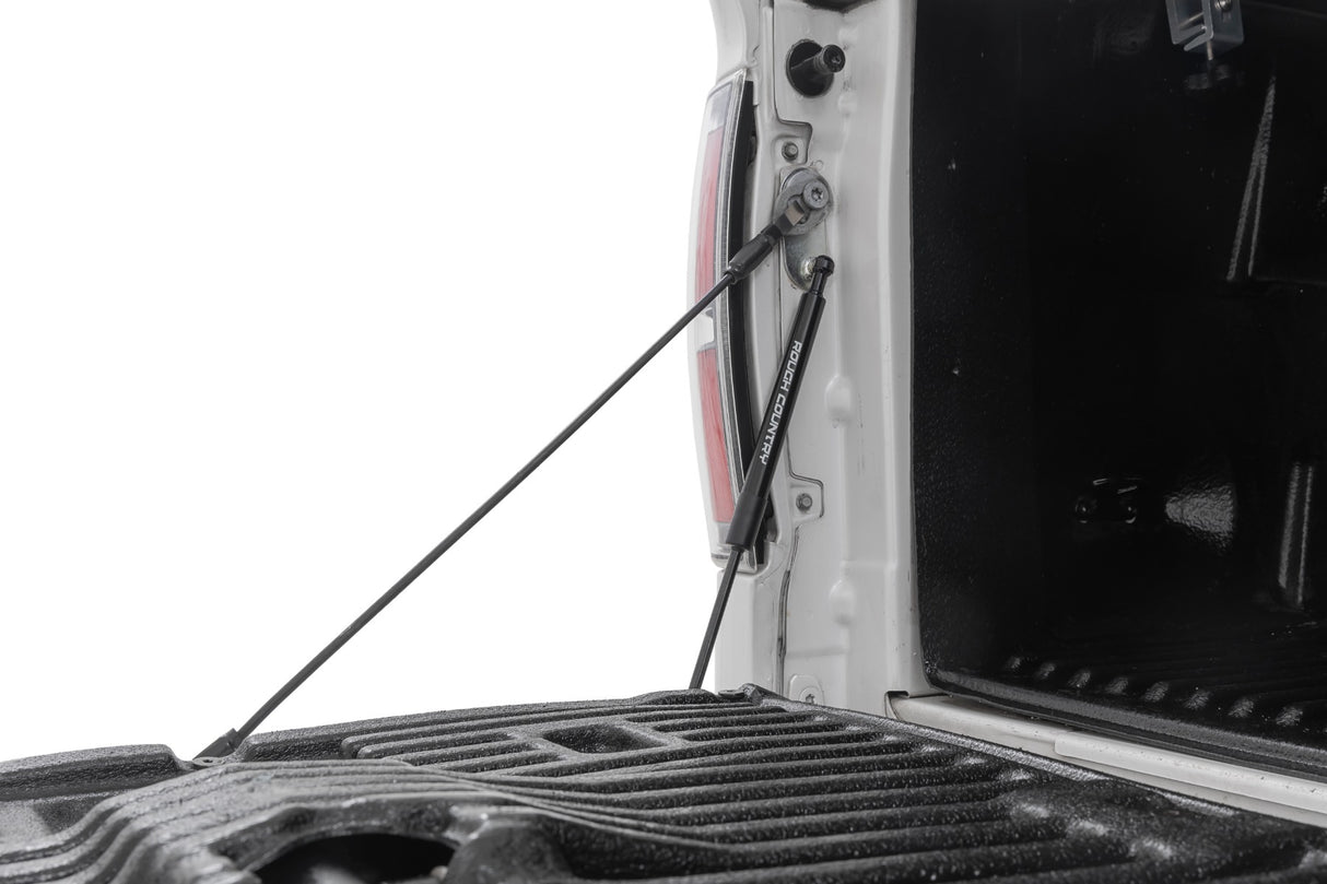 Tailgate Assist Ford F-150 2WD/4WD (2004-2014) Rough Country