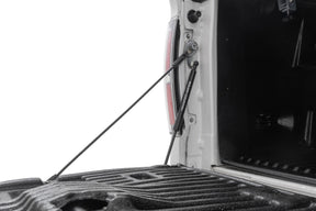 Tailgate Assist Ford F-150 2WD/4WD (2004-2014) Rough Country