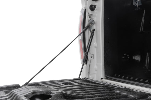 Tailgate Assist Ford F-150 2WD/4WD (2004-2014) Rough Country