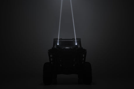 Laser Whip Light Kit RGBW 1200 Lumens Pair Rough Country