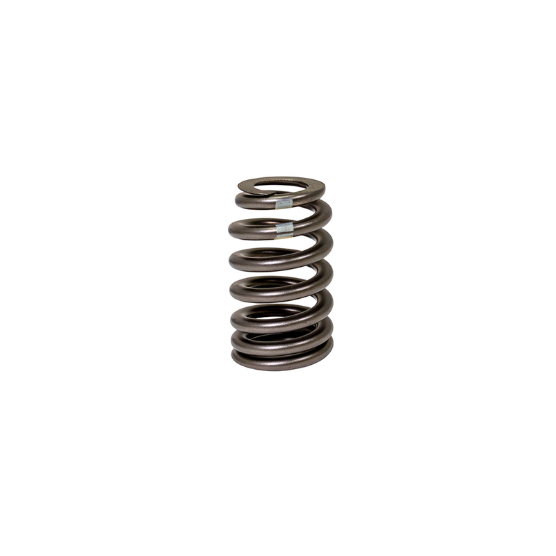 90# Valve Springs - Set of 12 - 3800