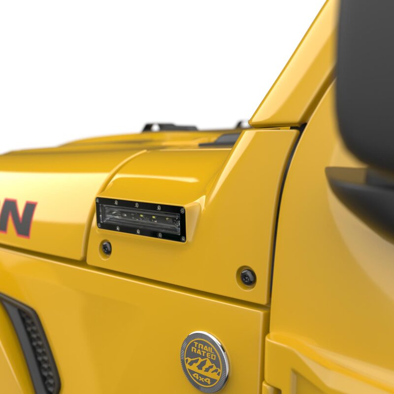 Photo - Close Up